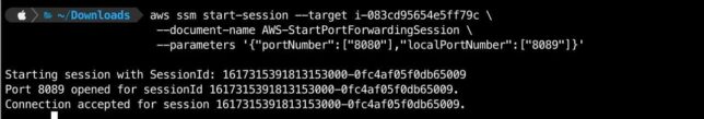 ssm and socat port forwarding in action