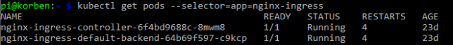 new nginx ingress pods running with ARM image