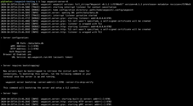 Hashicorp Waypoint Server on Raspberry Pi - pod started.